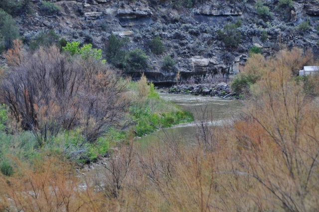 the Plateau Canyon